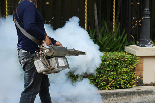 Pest Control London