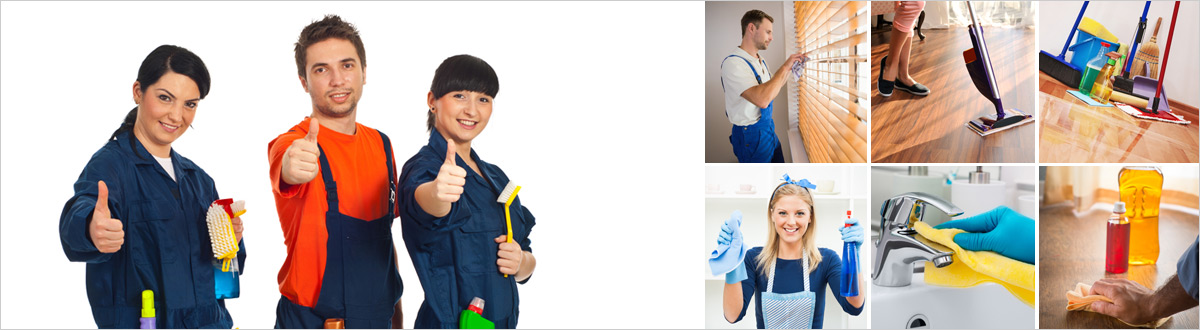 Domestic Cleaning