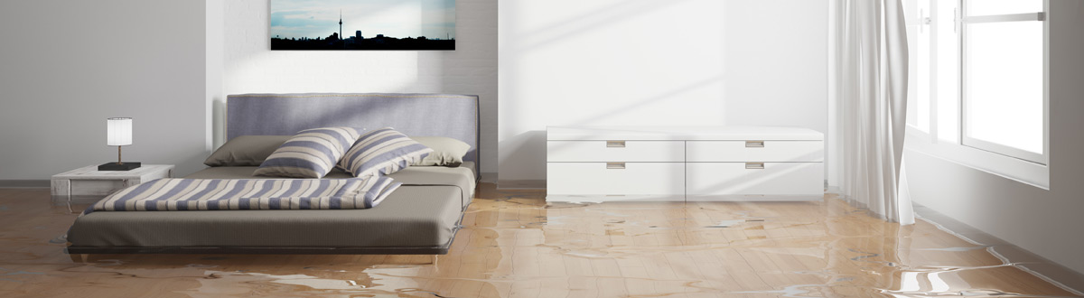 Water Damage Restoration
