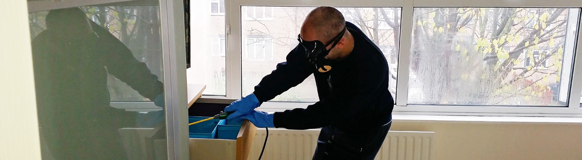 BEDBUGS KILLERS